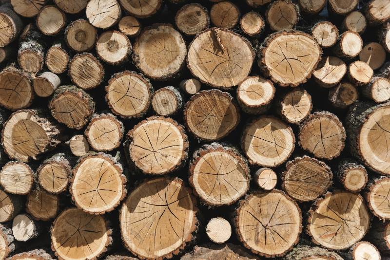 Chopped Wood Logs